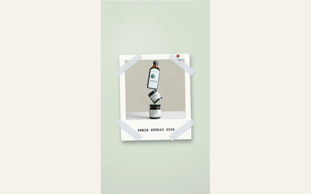 Captured Aesthetic Moodboard Pin preset with its sample composition in PaperAnimationLab