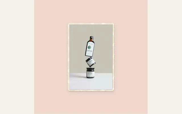 Captured Fresh arrival preset with its sample composition in PaperAnimationLab