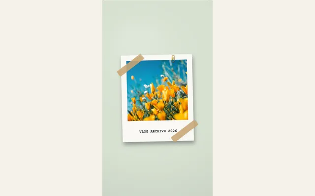 Captured Lifestyle Vlog Polaroid preset with its sample composition in PaperAnimationLab